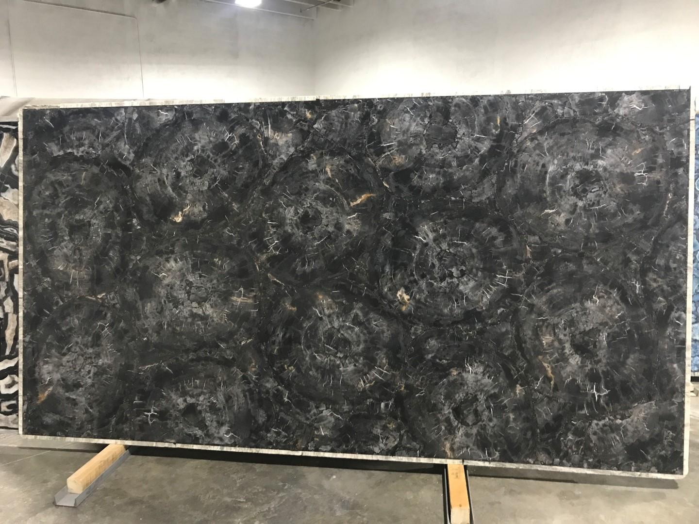 Black Petrified wood – Exotic Marble & Granite